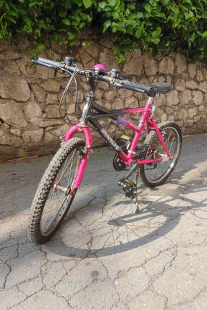BIANCHI PYTON 9/13 YAŞ BİSİKLETİ